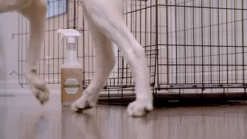 TriNova Pet Stain And Odor Remover, 1 Gal. -Pet Supply Store 1549350 A2