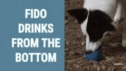 Kurgo Gourd H2O Dog Water Bottle And Bowl, 24 Oz., Blue -Pet Supply Store 1592229 VIDEO 1 480x270 1200k