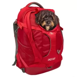 Kurgo G-Train Backpack, Red -Pet Supply Store 1592230 A8