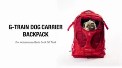 Kurgo G-Train Backpack, Red -Pet Supply Store 1592230 VIDEO 1 480x270 1200k