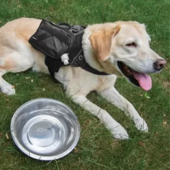 Kurgo RSG Hydration Pet Flask -Pet Supply Store 1592342 A5