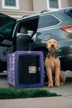 Dakota 283 G3 Framed Door Kennel, Large, Purple -Pet Supply Store 1620804 A4