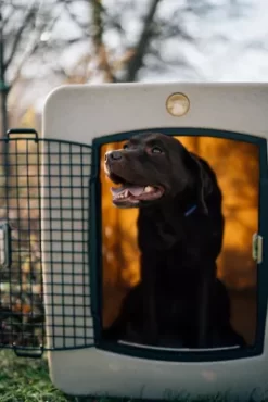 Dakota 283 G3 Framed Dog Kennel, Pink -Pet Supply Store 1620811 A7