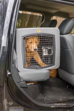 Dakota 283 T1 Dog Kennel, Coyote -Pet Supply Store 1620819 A5