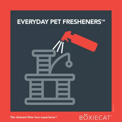 Boxiecat Premium Extra Strength Pet Stain And Odor Remover, 24 Oz. 3 Boxiecat Premium Extra Strength Pet Stain And Odor Remover, 24 Oz. - Image 3