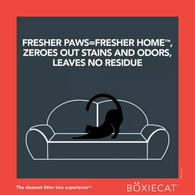Boxiecat Premium Extra Strength Pet Stain And Odor Remover, 24 Oz. 5 Boxiecat Premium Extra Strength Pet Stain And Odor Remover, 24 Oz. - Image 5
