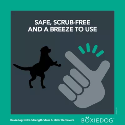 Boxiecat Boxiedog Premium Scented Pet Stain And Odor Remover, 24 Oz. 4 Boxiecat Boxiedog Premium Scented Pet Stain And Odor Remover, 24 Oz. - Image 4