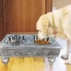 Iconic Pet Sassy Paws Wooden Stand Raised Stainless Steel Double Diner Pet Bowls, 2-Bowls, 52067