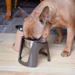 SportPet Raised Stainless Steel Pet Bowls, 1 Cup, 2-Bowls -Pet Supply Store 1683755 A4