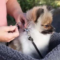 K&H Pet Products Travel Bike Pet Basket -Pet Supply Store 1701215 A4