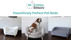 Critter Sitters 28 In. Elegant Faux-Velvet Circular Pet Bed For Small- To Medium-Sized Dogs And Cats, Pink -Pet Supply Store 1710566 VIDEO 1 480x270 1200k