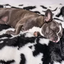 Paw Brands PupProtector Waterproof Throw Blanket -Pet Supply Store 1721854 A5