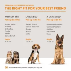 Moots Premium Leatherette Sofa Pet Bed, Large -Pet Supply Store 1725080 A5