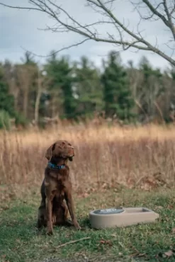 Dakota 283 Dine N Dash Feeding System With Dakota Guard Antimicrobial - Coyote Granite -Pet Supply Store 1729288 A5