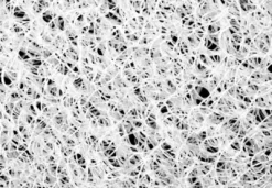 Snoozer Washable Cozy Cave Poly Cotton Forgiveness Mattress Pet Bed -Pet Supply Store 1732744 A2