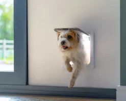 Cat Mate Large 4-Way Locking Cat Door With 2 In. Wall Liner, White, 221W 14 Cat Mate Large 4-Way Locking Cat Door With 2 In. Wall Liner, White, 221W -Pet Supply Store 1866860 A5