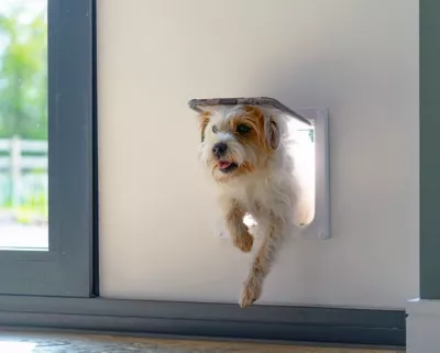 Cat Mate Large 4-Way Locking Cat Door With 2 In. Wall Liner, White, 221W 6 Cat Mate Large 4-Way Locking Cat Door With 2 In. Wall Liner, White, 221W - Image 6