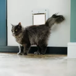 Cat Mate Microchip And I.D. Disc Cat Door For Entry Control, White -Pet Supply Store 1866882 A4