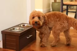 New Age Pet Small Piedmont Diner, 20 Oz., Russet -Pet Supply Store 1866985 A3