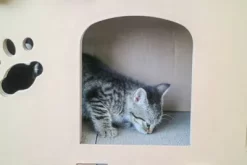 Petique Feline Penthouse Cat House -Pet Supply Store 1968014 A13