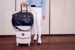 Petique The Lux Pet Carrier -Pet Supply Store 1968023 A11