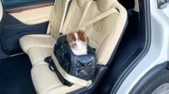 Petique The Lux Pet Carrier -Pet Supply Store 1968023 A14