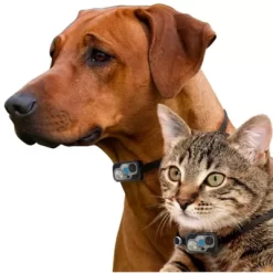 High Tech Pet Large Opening Power Pet Door For Wall Installations - Wi-Fi Smartphone Controlled, PX-2WFW -Pet Supply Store 1972813 A2