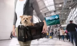 Sherpa Original Deluxe Travel Pet Carrier, Airline Approved & Guaranteed On Board - Black Lattice, Medium 15 Sherpa Original Deluxe Travel Pet Carrier, Airline Approved & Guaranteed On Board - Black Lattice, Medium -Pet Supply Store 1983788 A5