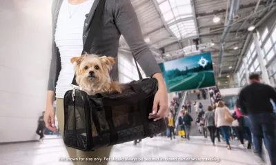 Sherpa Original Deluxe Travel Pet Carrier, Airline Approved & Guaranteed On Board - Black Lattice, Medium 6 Sherpa Original Deluxe Travel Pet Carrier, Airline Approved & Guaranteed On Board - Black Lattice, Medium - Image 6