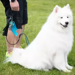 BRB Pets HydroSMART-Flex Pet Travel Bowl, Versatile Water Bowl For Your Pets -Pet Supply Store 2021828 A6