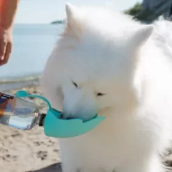 BRB Pets HydroSMART-Flex Pet Travel Bowl, Versatile Water Bowl For Your Pets -Pet Supply Store 2021828 A9