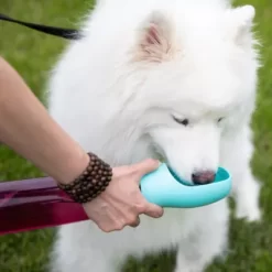 BRB Pets HydroSMART-Pro Pet Travel Bowl, Premium Hydration Bowl For Your Pets -Pet Supply Store 2021830 A7