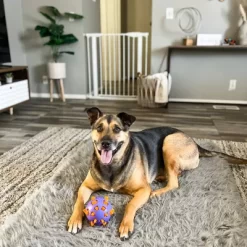 MyPet Tall Happy Tails Walk Thru Pet Gate -Pet Supply Store 2030424 A5