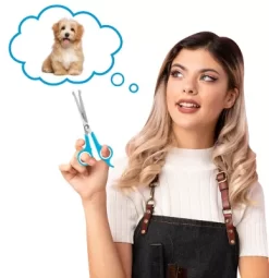 Boshel Dog Grooming Scissors Set - 2 Pet Grooming Scissors 12 Boshel Dog Grooming Scissors Set - 2 Pet Grooming Scissors -Pet Supply Store 2068484 A5