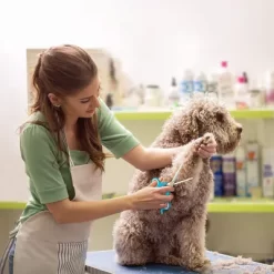 Boshel Dog Grooming Scissors Set - 3 Dog Grooming Shears - Safe Rounded Tips -Pet Supply Store 2068485 A4