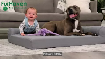 FurHaven Paw-Quilted Full Support Orthopedic Deluxe L-Chaise Dog Bed 11 FurHaven Paw-Quilted Full Support Orthopedic Deluxe L-Chaise Dog Bed - Image 11