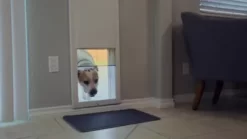 High Tech Pet Power Pet Door Patio Panel For Sliding Glass Doors - Wi-Fi Smartphone Controlled, PX1-STE-WF -Pet Supply Store 2245771 VIDEO 1 480x270 1200k