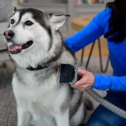 FurMe Professional Pet Grooming Vacuum Kit, FM-01 -Pet Supply Store 2251408 A9