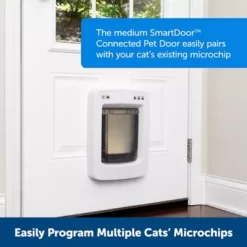 PetSafe Connected Smartdoor, ZPA19-17252 20 PetSafe Connected Smartdoor, ZPA19-17252 -Pet Supply Store 2251574 A7
