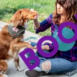 New! The Blissful Dog Paw Butter For Dogs, 2.25 Oz Tube -Pet Supply Store 2291657 VIDEO 1 480x270 1200k