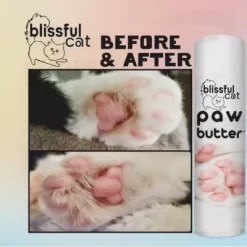 New! The Blissful Dog Paw Butter For Cats, 2 Oz Tin -Pet Supply Store 2291682 VIDEO 1 480x270 1200k