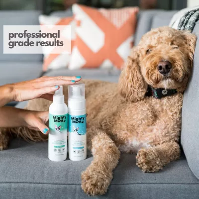 New! Mighty Mutt Deodorizing Dog Spray For Stinky Dogsodor Control And Fresheningall-Natural, Toxin-Free And Anti-Itch 6 New! Mighty Mutt Deodorizing Dog Spray For Stinky Dogsodor Control And Fresheningall-Natural, Toxin-Free And Anti-Itch - Image 6