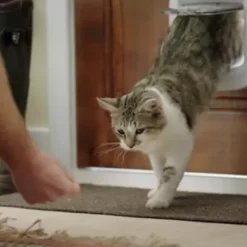 PetSafe Interior 2-Way Locking Cat Door 18 PetSafe Interior 2-Way Locking Cat Door -Pet Supply Store 2430413 A8