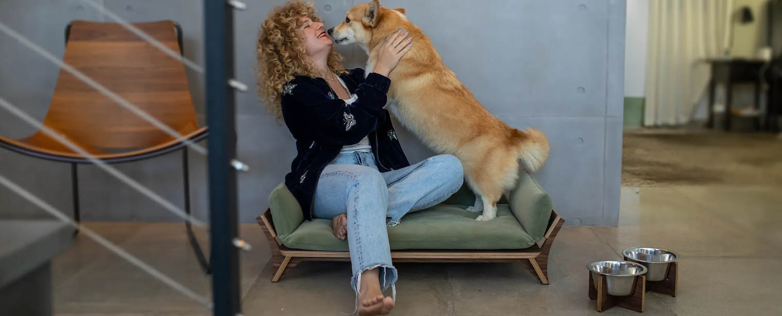 Pet Supply Store -Pet Supply Store asdsd