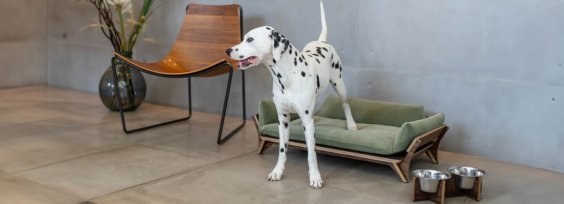 Pet Supply Store -Pet Supply Store dfgdgj